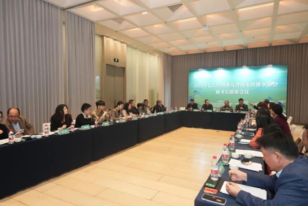 1743037528410 1743037528410